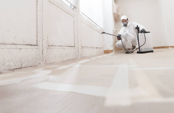 24/7 Emergency Mold Remediation experts in Hermantown, MN